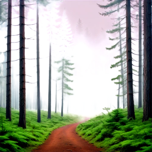 forest path,forest road,forest background,forest walk,forest,coniferous forest,forests,trail,the forest,fir forest,wooded,spruce forest,cartoon video game background,forested,pathway,forest landscape,the forests,green forest,hiking path,wooden path,Conceptual Art,Sci-Fi,Sci-Fi 07