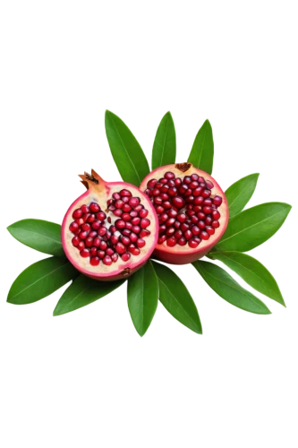 pomegranate,berry fruit,red fruit,raspberry leaf,watermelon background,saulsberry,red fruits,summer fruit,accoceberry,mollberry,pomerelian,fragaria,dewberry,wolfberries,siberry,fruit pattern,lingonberries,forest fruit,red strawberry,summer fruits,Illustration,American Style,American Style 11