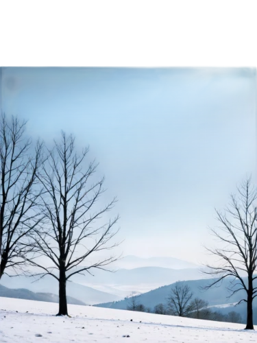 winter landscape,snow landscape,winter background,beech mountains,landscape background,snowy landscape,blue ridge mountains,snow trees,alleghenies,overmountain,blue mountain,nature background,snow fields,ice landscape,ore mountains,isolated tree,snow scene,alpine landscape,overwinter,winterreise,Illustration,Abstract Fantasy,Abstract Fantasy 10