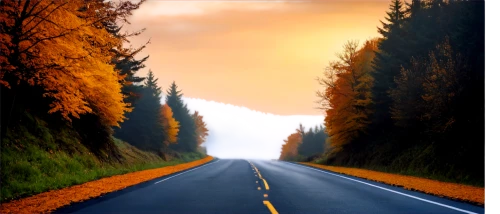 open road,road,long road,the road,asphalt road,alcan highway,mountain road,roads,country road,straight ahead,forest road,empty road,mountain highway,winding roads,road to nowhere,road forgotten,carretera,maple road,highway,roadways,Art,Classical Oil Painting,Classical Oil Painting 32