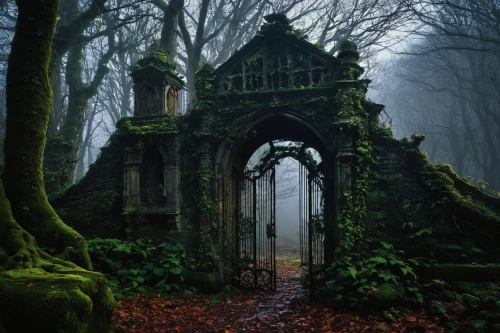 forest chapel,witch's house,abandoned place,ghost castle,haunted cathedral,abandoned places,sunken church,fairytale castle,haunted castle,old graveyard,ruins,creepy doorway,witch house,lost place,fairy tale castle,abandoned,ruin,castle ruins,mausoleum ruins,ancient ruins,Photography,Black and white photography,Black and White Photography 12