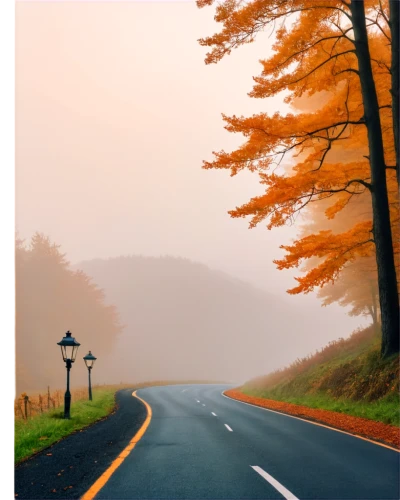 road,open road,long road,the road,empty road,country road,roads,mountain road,carretera,asphalt road,autumn background,landscape background,road forgotten,road to nowhere,winding roads,garrison,maple road,roadable,straight ahead,car wallpapers,Art,Classical Oil Painting,Classical Oil Painting 44