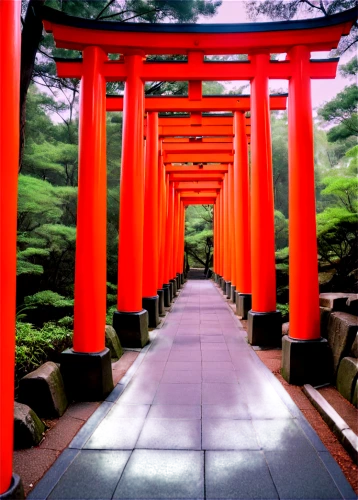 fushimi inari shrine,fushimi inari-taisha shrine,torii tunnel,torii,senbon torii,japan garden,japanese shrine,meiji jingu,shinto shrine gates,kyoto,beautiful japan,japon,japanese garden,jigoku,ginkaku-ji temple,japan,tokyo ¡¡,shinto,japanese background,ritsurin garden,Photography,Fashion Photography,Fashion Photography 23