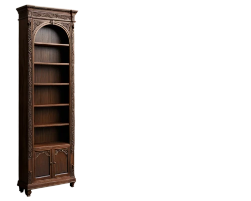armoire,dumbwaiter,cabinet,bookcase,cabinetry,cupboard,highboard,gustavian,garderobe,metal cabinet,dark cabinetry,storage cabinet,bookcases,wooden door,cabinetmaker,humidor,cabinets,cupboards,antique furniture,doorframe,Illustration,Black and White,Black and White 18
