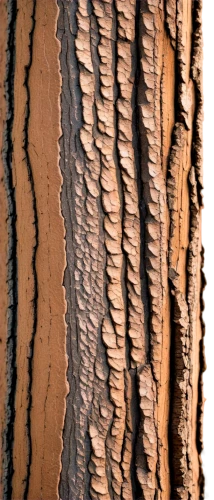 tree bark,wood texture,tree texture,birch trunk,strawberry tree-bark,birch bark,sandstone wall,paperbark,fossil dunes,ferruginea,mouseman,bark,pseudotsuga,bioturbation,vastola,epidermis,tree trunk,striae,ornamental wood,trunk,Illustration,Japanese style,Japanese Style 13