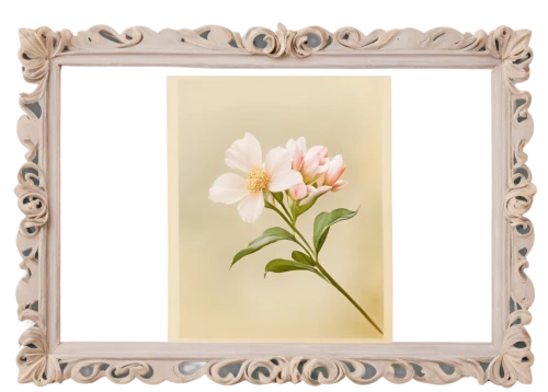 peony frame,flowers frame,flower frame,floral and bird frame,floral silhouette frame,botanical frame,floral frame,flower border frame,flower frames,frame flora,tuberose,decorative frame,rose frame,clover frame,art deco frame,roses frame,flowers png,frame rose,freesias,freesia,Illustration,Retro,Retro 23