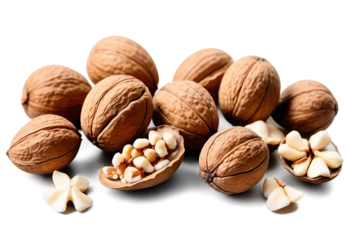 almond nuts,indian almond,walnuts,hazelnuts,almond,amandes,betelnut,almonds,nueces,unshelled almonds,harthacnut,pecans,walnut,macadamias,pecan,pine nuts,nutans,nutshells,hazelnut,mockernut,Photography,Artistic Photography,Artistic Photography 07