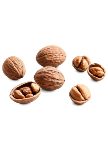 almond nuts,indian almond,almond,unshelled almonds,almonds,betelnut,walnuts,hazelnuts,walnut,pine nuts,pecan,harthacnut,noise almond,pecans,seeds,nutshells,nueces,almond oil,flaxseed,amandes,Illustration,Paper based,Paper Based 20