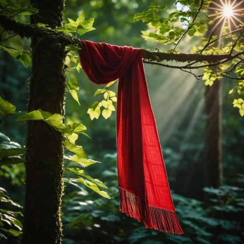 hammock,hanging lantern,woman hanging clothes,hammocks,photos on clothes line,tree swing,hanging rope,hanging swing,a curtain,hanging plant,natural rope,hanging elves,suspended leaf,pictures on clothes line,tanabata,bamboo curtain,hanging light,eno,red bunting,lantern string,Photography,General,Fantasy