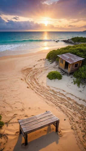 beach landscape,bench by the sea,sunrise beach,ningaloo,fraser island,beautiful beaches,wood and beach,dream beach,beach scenery,ascension island,beautiful beach,south australia,caribbean beach,old wooden boat at sunrise,deckchair,greens beach,beach furniture,new south wales,cape verde island,cuba beach,Photography,General,Realistic