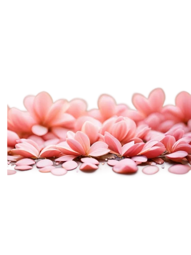 paper flower background,pink floral background,pink petals,flowers png,flower background,floral digital background,petal,valentine background,petals,flower wallpaper,bokeh hearts,chrysanthemum background,valentines day background,valentine flower,floral background,pink flowers,floral mockup,cupcake background,rose petals,japanese floral background,Conceptual Art,Sci-Fi,Sci-Fi 11