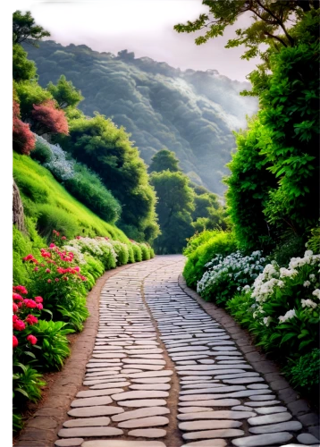 winding road,tree lined path,pathway,mountain road,japan landscape,hiking path,uphill,country road,the mystical path,winding roads,asphalt road,the road to the sea,japan garden,stone wall road,the path,beautiful japan,forest path,walkway,rockeries,cobblestones,Illustration,Black and White,Black and White 16