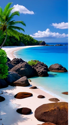 praslin,beautiful beaches,tropical beach,beach landscape,grenadines,caribbean beach,dream beach,seychellois,beautiful beach,antilles,seychelles scr,caribbean,tropical sea,caribbean sea,tropical island,beach scenery,paradise beach,comoros,the caribbean,brazilian beach,Illustration,Retro,Retro 16