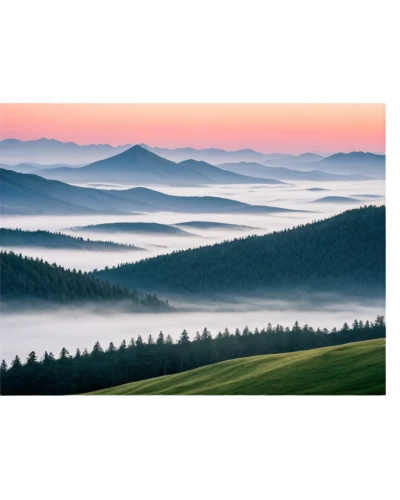 foggy landscape,landscape background,northern black forest,windows wallpaper,sea of fog,schwarzwald,foggy mountain,wave of fog,bavarian forest,mountainous landscape,ore mountains,nature background,sea of clouds,carpathians,mountain landscape,mist,sauerland,fog banks,background view nature,panoramic landscape,Illustration,Realistic Fantasy,Realistic Fantasy 25