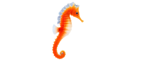 garridos,flaming torch,dragonfish,gopendra,garrisoned,garriott,garrison,draconic,firespin,wurm,flammer,flammea,polychaete,firedancer,bloodworm,micropholis,salamandre,rod of asclepius,flame spirit,salamander,Art,Artistic Painting,Artistic Painting 33