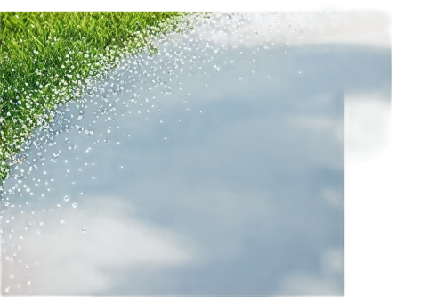 green bubbles,spirulina,biopesticide,fertilizers,chlorella,microalgae,psyllium,aaaa,eutrophication,garden dew,phytoplankton,foliar,azolla,fertiliser,fertilisers,fungicides,dew droplets,dewdrops,rainwater drops,fertilizer,Conceptual Art,Daily,Daily 29