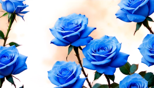 blue rose,blue moon rose,blue flowers,blue petals,blue flower,blue rose near rail,bluebunch,blu flower,blue background,noble roses,bleues,flower wallpaper,rose roses,rosses,blue hydrangea,blue moment,blue color,blueness,color blue,flower background,Conceptual Art,Oil color,Oil Color 10