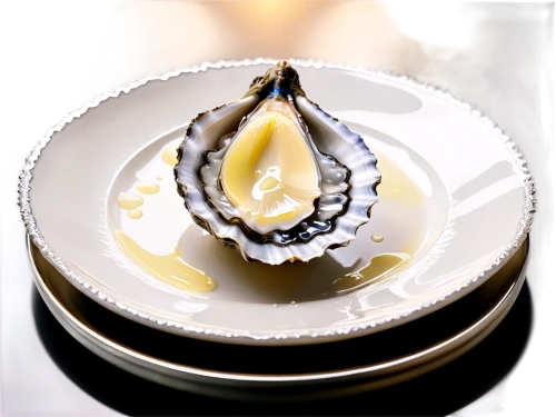 calvisius,oester,oyster,bivalve,talaba,shucked,abalone,mussel,crassostrea,acidification,coquille,shellfish,zabaglione,oysters,musselshell,calliostoma,petrossian,sumann,degustation,scallop,Illustration,Black and White,Black and White 04