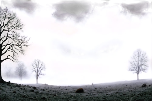 creepy tree,apparition,unseeing,elfland,foresees,mandelbrot,abductees,otherworld,abductee,mysteron,virtual landscape,tree thoughtless,copse,evanescent,afterworld,mothman,apparitions,apparant,hertzfeldt,augen,Illustration,Realistic Fantasy,Realistic Fantasy 40