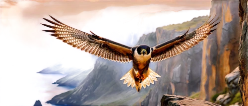 falconet,archaeopteryx,confuciusornis,falconiformes,microraptor,haliaeetus,lanner falcon,soar,bearded vulture,aguila,mountain hawk eagle,african fishing eagle,red tailed kite,new zealand falcon,eagle illustration,falconidae,saker falcon,haliaeetus vocifer,flying hawk,galliformes,Illustration,Realistic Fantasy,Realistic Fantasy 01