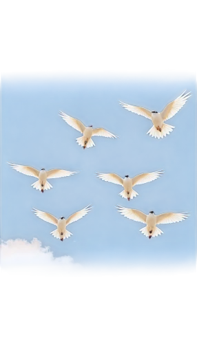 geese flying,flying geese,birds in flight,group of birds,flock of geese,birds flying,godwits,cygnes,migrating,milvus migrans,bird flight,formation flight,migratory birds,gray geese,flying birds,gaviotas,pintails,gooses,geese,aguiluz,Illustration,Black and White,Black and White 06