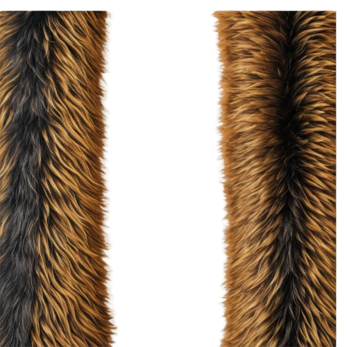animal fur,basket fibers,foxtail,furring,peacock feathers,ostrich feather,fur,parrot feathers,peacock feather,pelts,xanthorrhoea,hawk feather,furrier,furr,glass fiber,chicken feather,equine coat colors,seamless texture,shetland sheepdog tricolour,epaulette,Art,Artistic Painting,Artistic Painting 32