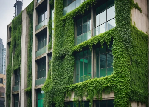 green living,greenhut,office building,greentech,shenzhen vocational college,office block,esade,growing green,greening,greenery,office buildings,glass building,microhabitats,greeniaus,urban design,yuchengco,green garden,cubic house,buxus,green plants,Illustration,Retro,Retro 17