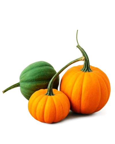 decorative pumpkins,striped pumpkins,mini pumpkins,calabaza,autumn pumpkins,pumpkins,calabazas,pumpkin autumn,gourds,pumkins,calabashes,halloween pumpkins,cucurbits,garrison,decorative squashes,pumpkin,pumpkin soup,cucurbita,kirdyapkin,pumpkin heads,Conceptual Art,Fantasy,Fantasy 19