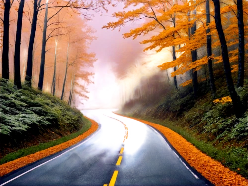mountain road,winding road,forest road,winding roads,open road,road,the road,mountain highway,long road,carretera,asphalt road,alpine drive,roads,country road,backroads,road forgotten,road to nowhere,alpine route,roadways,racing road,Illustration,Japanese style,Japanese Style 08