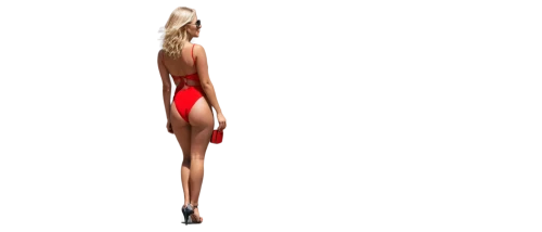 derivable,3d figure,fashion vector,gradient mesh,decorative figure,lady in red,man in red dress,female model,3d modeling,female body,pin-up girl,3d model,shapewear,hemline,christmas pin up girl,3d rendered,objectification,pin up girl,red background,3d rendering,Illustration,Vector,Vector 09