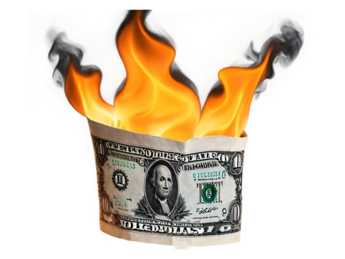 dollar burning,burn money,burning money,burn banknote,destroy money,emergency money,the dollar,petrodollars,petrodollar,dollarhide,dollar,dollarization,usd,us dollars,dfs,dollar rate,monetarism,eurodollars,eurodollar,alternative currency,Photography,Documentary Photography,Documentary Photography 35