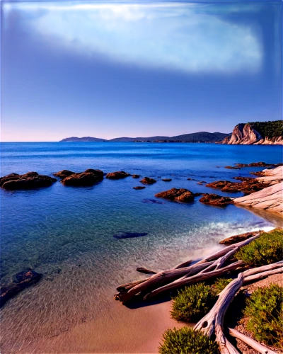 terrigal,bermagui,barrenjoey,bar harbor,tantallon,umina,freycinet,beach landscape,kintyre,shellharbour,tasmanian,whangaparaoa,embleton,pambula,new south wales,greens beach,warringah,tasmania,samil,coastal landscape,Photography,Fashion Photography,Fashion Photography 11