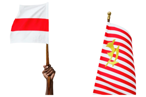 bahrainis,bahraini,polonia,flagbearers,flagstaffs,kelantan,sicilies,gibraltarian,poles,polski,polska,koniecpolski,omani,bahrain,topolski,nautical banner,wielkopolska,virginias,polan,poland,Photography,Documentary Photography,Documentary Photography 12