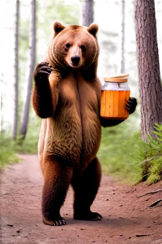 cute bear,nordic bear,bear kamchatka,bearlike,bear,bearman,bearmanor,brown bear,bearishness,little bear,bearse,scandia bear,beary,european brown bear,bearss,great bear,baby bear,bear guardian,ursine,bear teddy,Conceptual Art,Daily,Daily 18