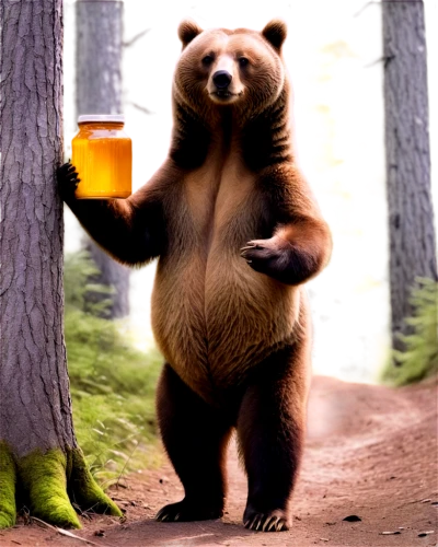 bearman,nordic bear,bearse,bearlike,ursine,bearmanor,brown bear,cute bear,bear,bearss,bearishness,great bear,beer,beerman,scandia bear,beary,little bear,orso,slothbear,bearup,Illustration,Black and White,Black and White 14