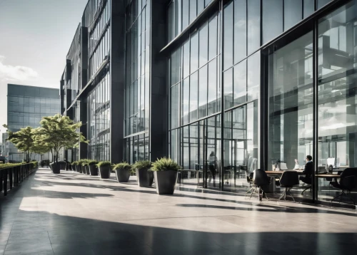 difc,glass facade,freshfields,broadgate,office buildings,glass facades,bureaux,sathorn,blythswood,hafencity,mediacityuk,office building,bobst,commerzbank,eschborn,damac,headoffice,glass building,citicorp,investec,Photography,Black and white photography,Black and White Photography 08