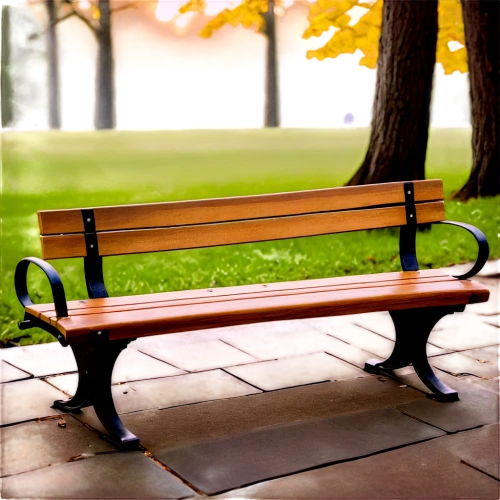 park bench,bench,wooden bench,red bench,benches,man on a bench,garden bench,wood bench,stone bench,benched,school benches,bench chair,yellow rose on red bench,sit and wait,bench by the sea,benchwarmer,background bokeh,banc,autumn frame,daybed,Illustration,American Style,American Style 08