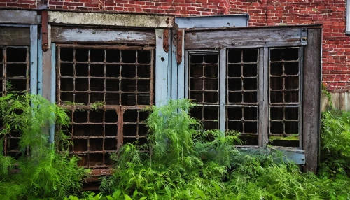 old windows,row of windows,wooden windows,old window,window with shutters,vestibules,window frames,old door,windows,abandoned building,doors,front window,french windows,sheds,old factory building,steel door,garden door,window front,doorways,outbuildings,Illustration,Japanese style,Japanese Style 10
