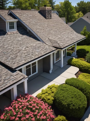 shingled,roof landscape,bungalows,roof tiles,house roofs,roof tile,shingling,tiled roof,3d rendering,house roof,thatch roofed hose,hovnanian,boxwoods,grass roof,straw roofing,slate roof,landscaped,boxwood,roofing,red roof,Illustration,Realistic Fantasy,Realistic Fantasy 25