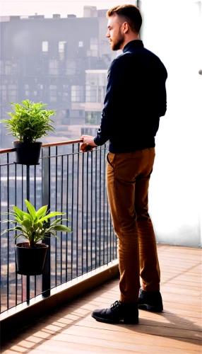 balcony plants,balcony garden,roof garden,block balcony,potted plants,background bokeh,highline,landscaper,plantsman,balcony,roof terrace,photo shoot with edit,paris balcony,plantlife,plants,boxwoods,greenscreen,landscapist,bokeh effect,greenfingers,Illustration,American Style,American Style 12