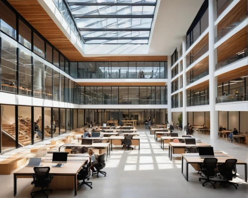 bobst,epfl,university library,schulich,bibliotheek,staatsbibliothek,snohetta,embl,bocconi,bibliothek,bibliotheque,gensler,hallward,esade,hogeschool,modern office,bjarke,atriums,school design,libraries,Conceptual Art,Oil color,Oil Color 08