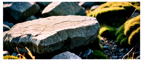 mountain stone edge,rockery,stone fence,drystone,curbstone,block of grass,depth of field,brick grass,tussock,cairn,stone wall,stone background,stonecrop,stacked stones,stonework,tussocks,rocks,greenschist,stoneworks,boulders,Photography,Documentary Photography,Documentary Photography 02