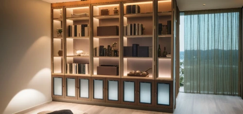 bookcase,walk-in closet,bookcases,shelving,minibar,bookshelves,wooden shelf,associati,wine rack,highboard,paneling,contemporary decor,storage cabinet,bookshelf,minotti,tv cabinet,wardrobes,shelves,armoire,modern decor,Photography,General,Natural