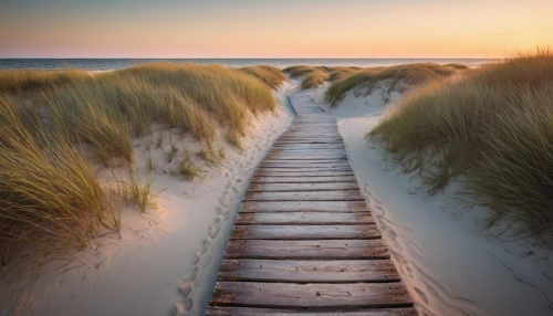 amrum,marram,sylt,ameland,zeeland,baltic sea,boardwalks,cape cod,wooden path,skagen,zingst,sand paths,westerland,boardwalk,schiermonnikoog,petten,henne strand,the baltic sea,texel,vlieland,Photography,General,Cinematic