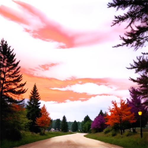 dusk background,landscape background,maple road,forest road,mountain road,country road,caledon,autumn sky,cartoon video game background,twilight,road,purple landscape,cloudstreet,scummvm,pink dawn,sky of autumn,red sky,open road,evening atmosphere,oakhurst,Illustration,Vector,Vector 14