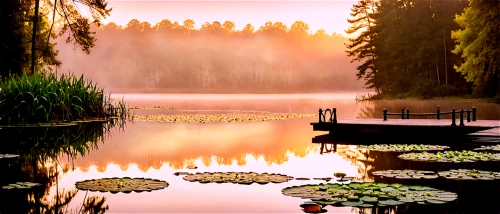 forest lake,evening lake,nature background,pond,landscape background,tranquility,beautiful lake,background view nature,alligator lake,finnish forest,lake,sognsvann,a small lake,lily pond,gunatillake,calm water,waterlilies,spring lake,lilly pond,quietude,Illustration,Realistic Fantasy,Realistic Fantasy 13