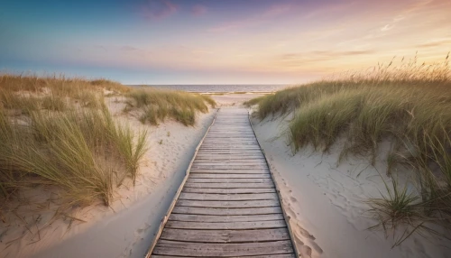 marram,amrum,zeeland,ameland,zingst,sylt,baltic sea,schiermonnikoog,wooden pier,boardwalks,the baltic sea,winterton,happisburgh,sand paths,walberswick,wooden path,boardwalk,formby,beach landscape,texel,Photography,General,Cinematic