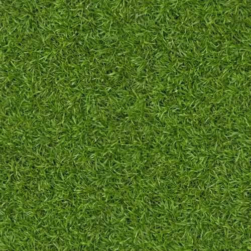 artificial grass,green wallpaper,quail grass,zoysia,block of grass,green lawn,astroturf,bentgrass,seamless texture,golf course grass,grass blades,green grass,ryegrass,grasslike,fieldturf,grass,paspalum,spring leaf background,intensely green hornbeam wallpaper,grass grasses,Realistic Material,Grass,Grass 11