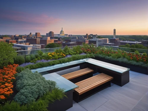 roof garden,roof terrace,roof landscape,homes for sale in hoboken nj,landscape design sydney,hoboken condos for sale,landscape designers sydney,roof top,penthouses,landscaped,highline,homes for sale hoboken nj,roof top pool,rooftops,sundeck,nippert,corten steel,terrasse,rooftop,gansevoort,Conceptual Art,Oil color,Oil Color 16