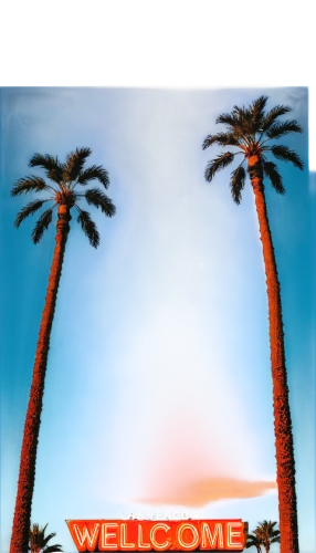 welcoming,welcomes,palm tree vector,palms,californie,palmtrees,warm welcome,welcome sign,two palms,californica,anaglyph,palm trees,palmtree,derivable,californian,palm,mobsters welcome sign,retro frame,webgl,socal,Illustration,American Style,American Style 14